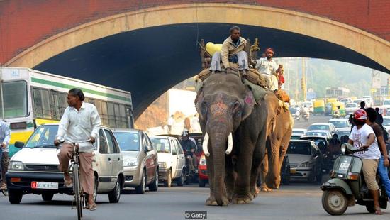 比中国马路更混乱，无人驾驶汽车在印度能开吗？